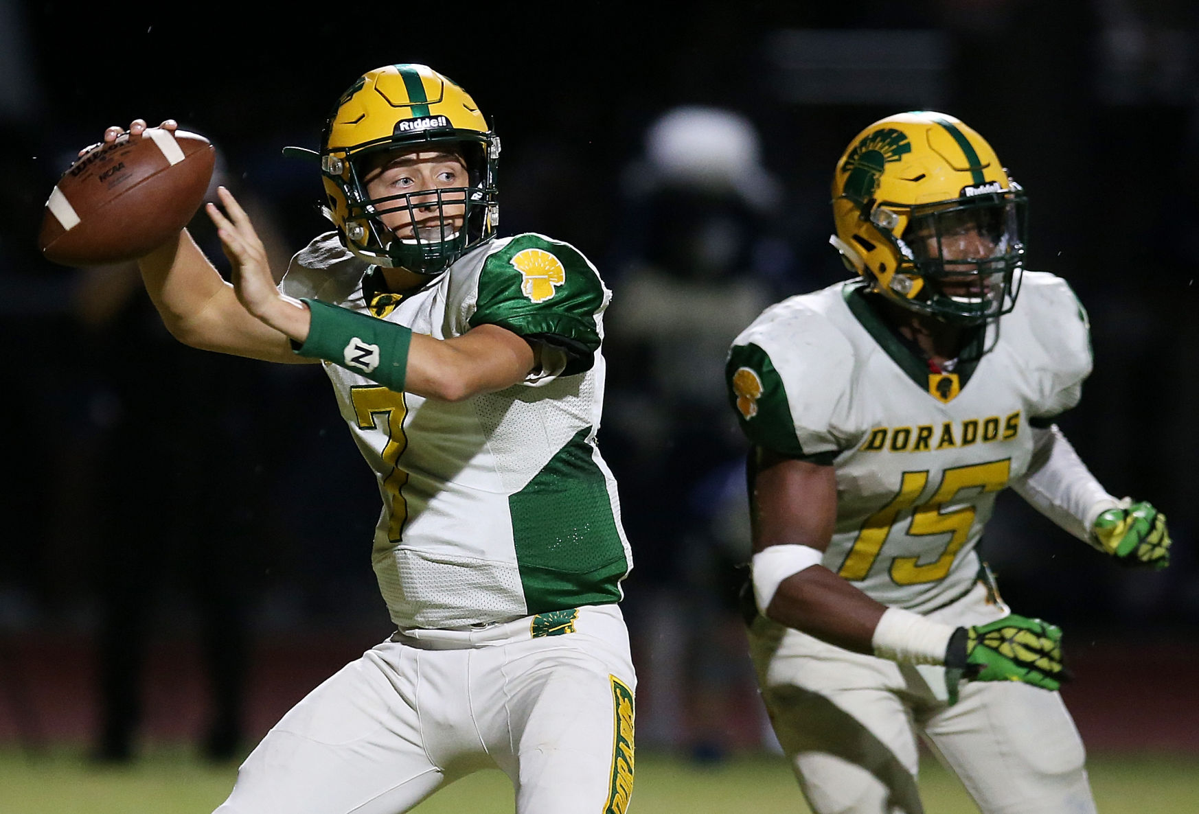 Canyon del Oro 21, Ironwood Ridge 24